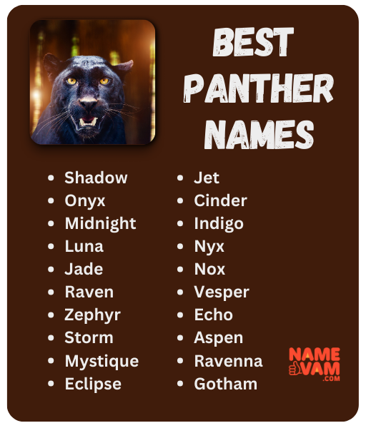 Best Panther Names