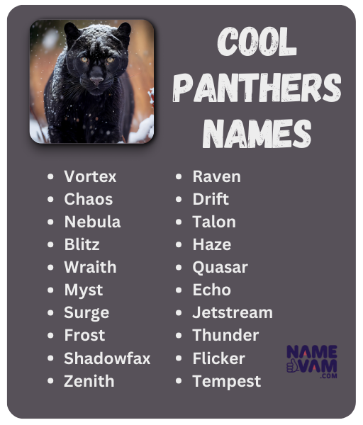 Cool Names for Panthers