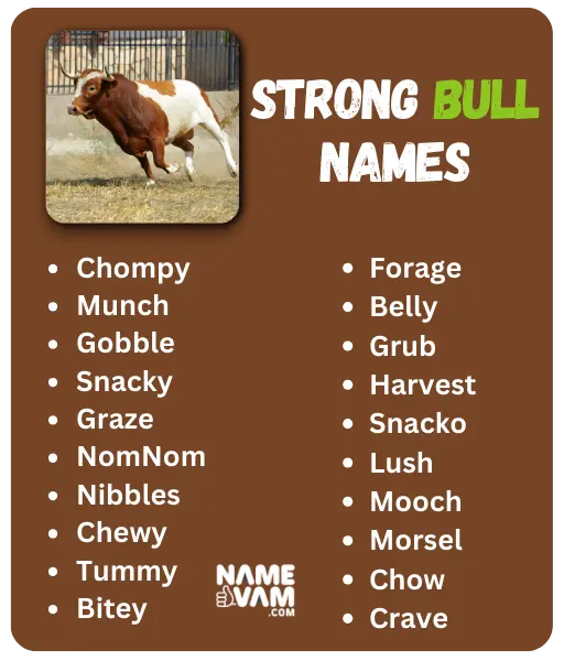 Strong Bull Names