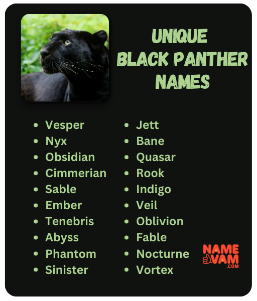 Unique Black Panther Names