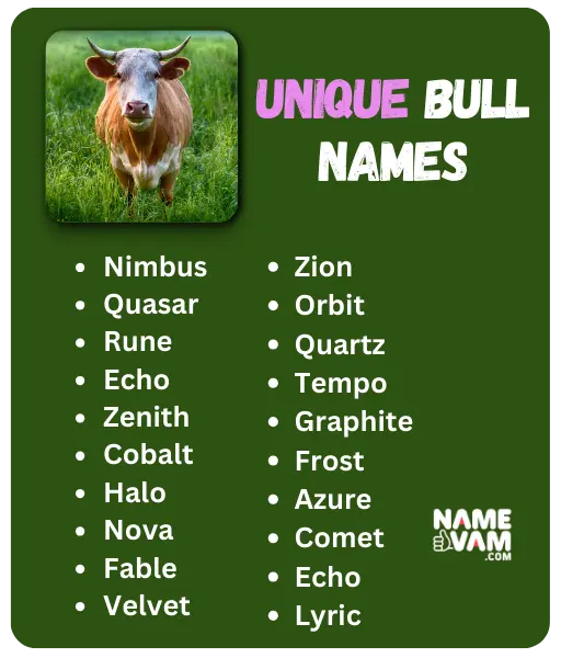 Unique Bull Names