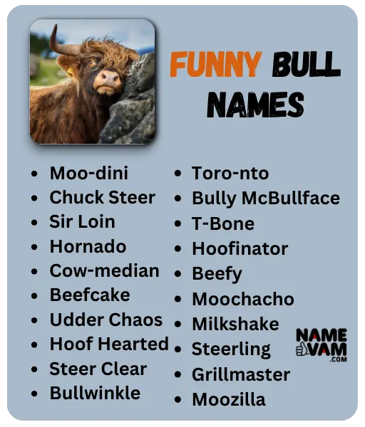 funny Bull Names