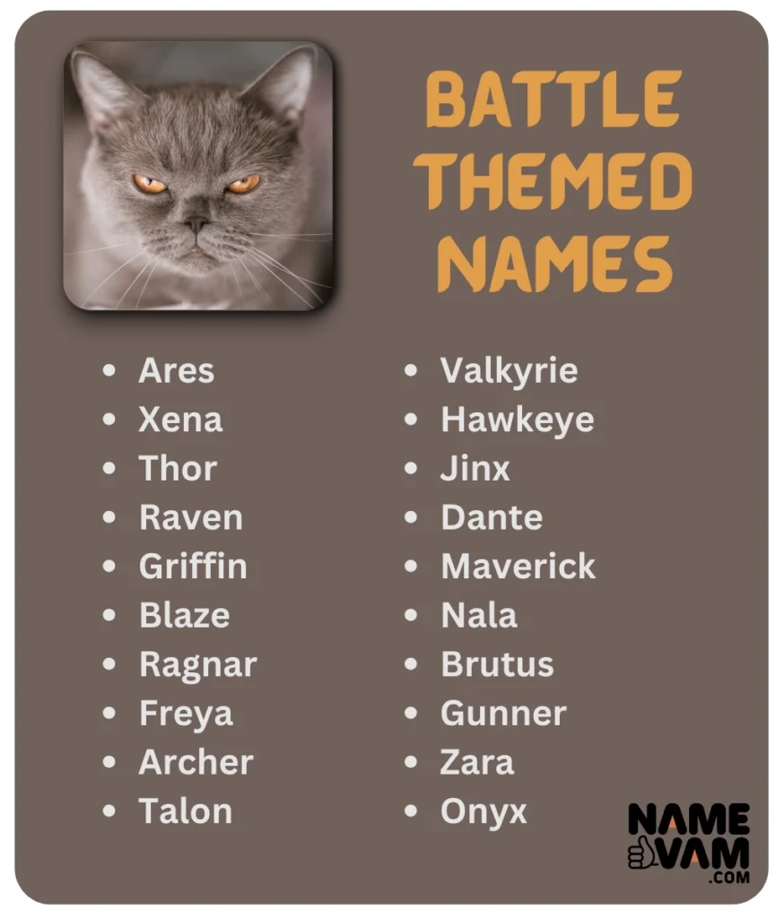 battle themed warrior cat names