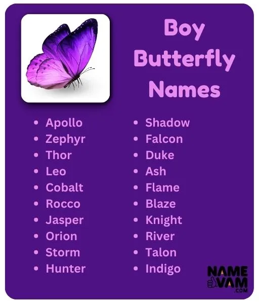 boy butterfly names