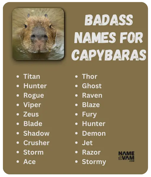 Badass Names for Capybaras