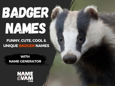 Badger Names