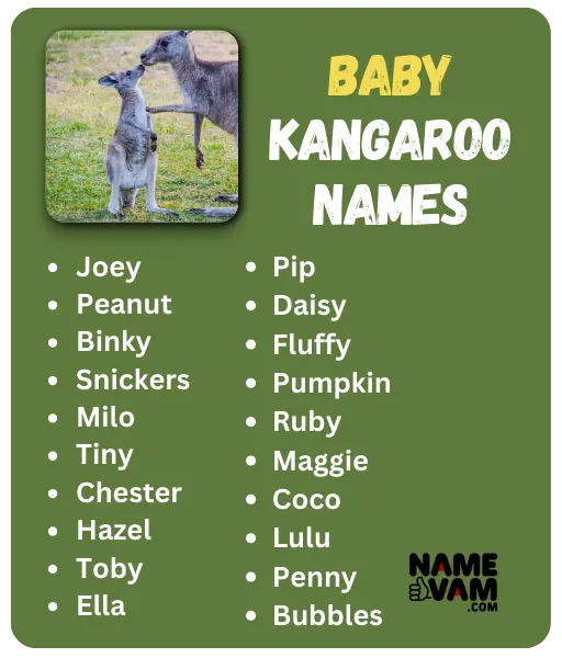 Best Kangaroo Names