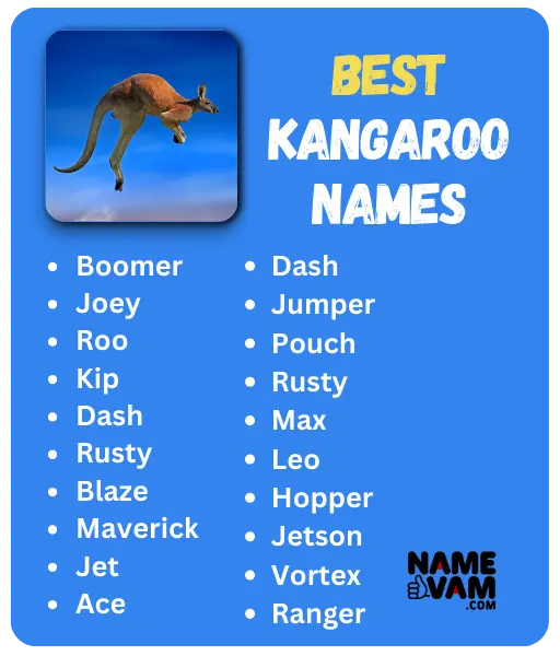 Best Kangaroo Names