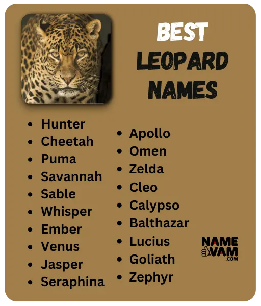 Best Leopard Names