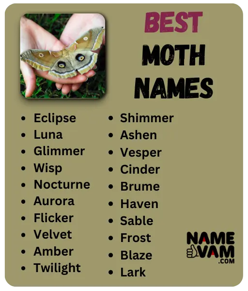 Best Moth Names