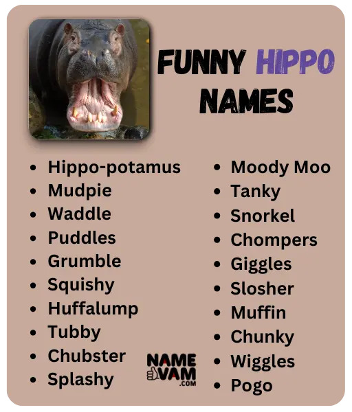 funny hippo names