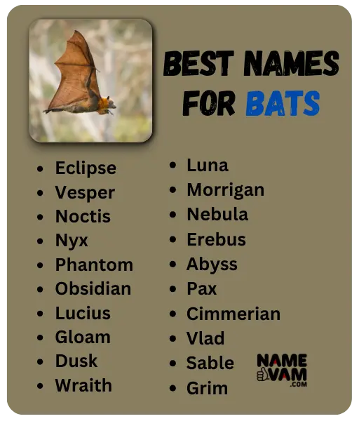 Best Names for Bats