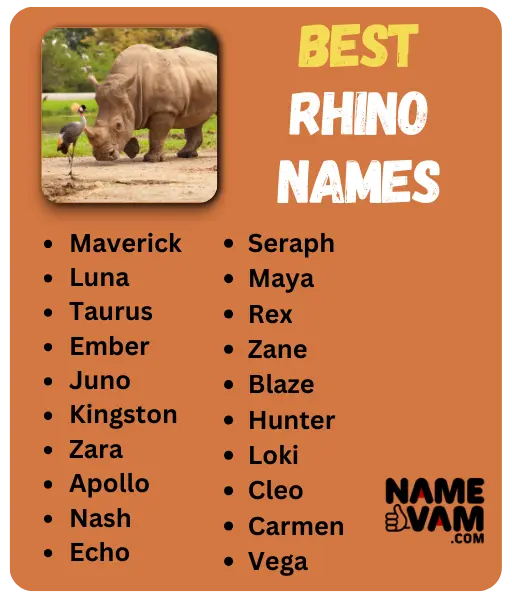 Best Rhino Names