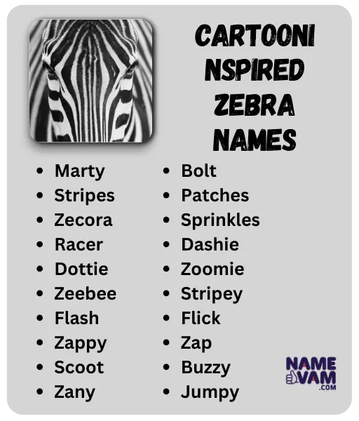 Cartoon Inspired Zebra Names