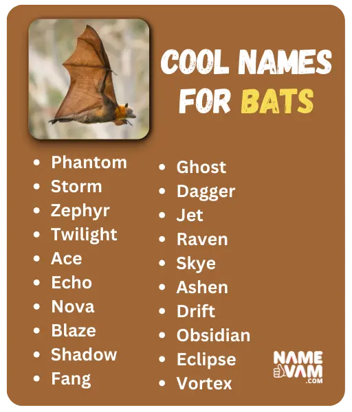 Cool Names for Bats