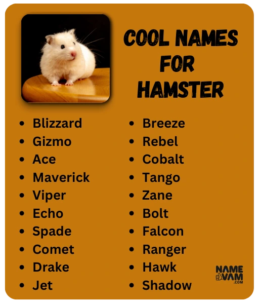 Cool Names for Hamster