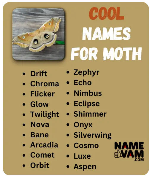 Cool Names for Moth