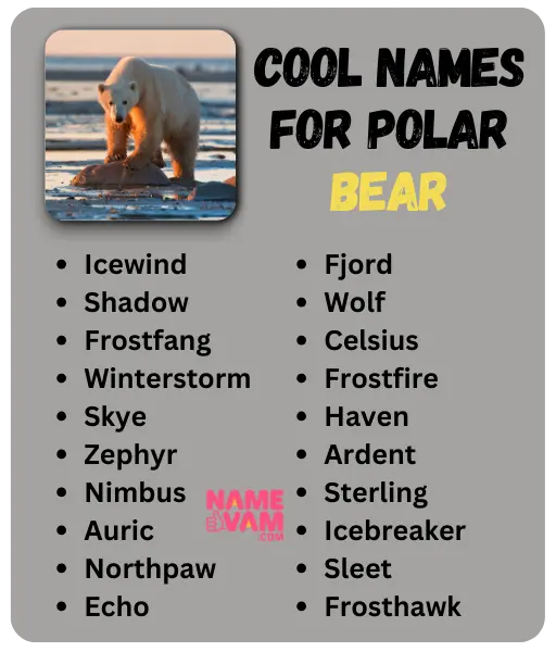 Cool Names for Polar Bear