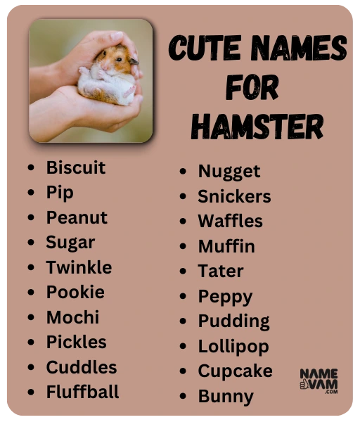 Cute Names for Hamster