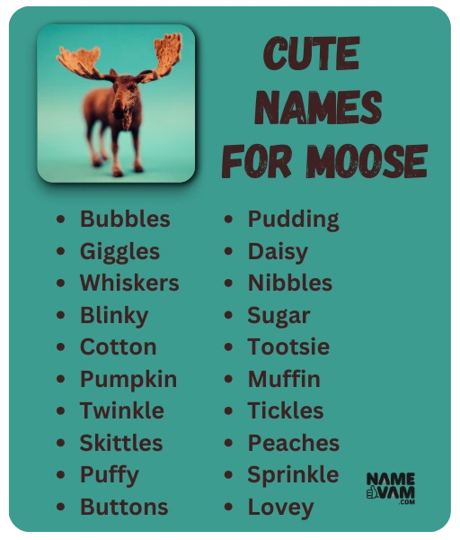 Stuffed Moose Names