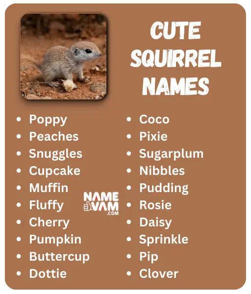 Cute Squirrel Names