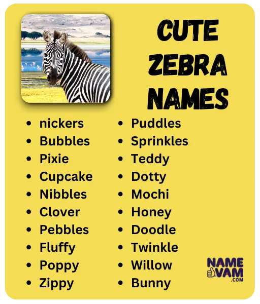 Cute Zebra Names