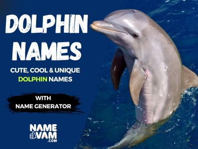 Dolphin Names