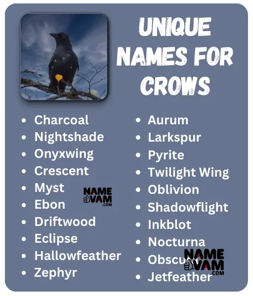 Famous Crow Names