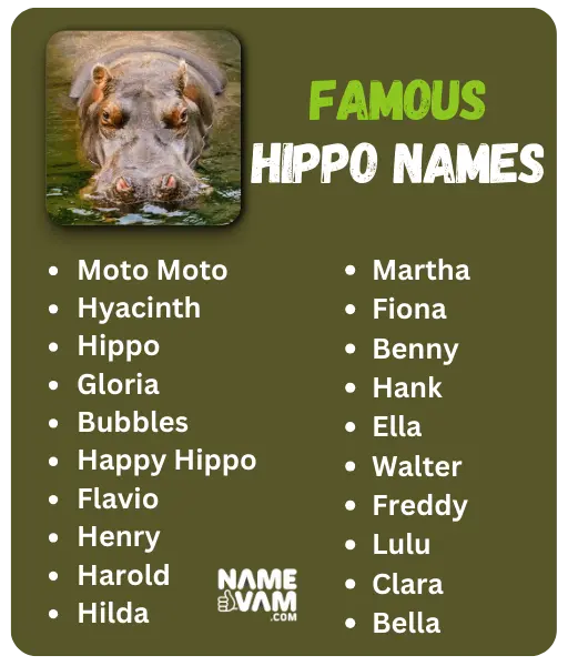 Famous Hippo Names