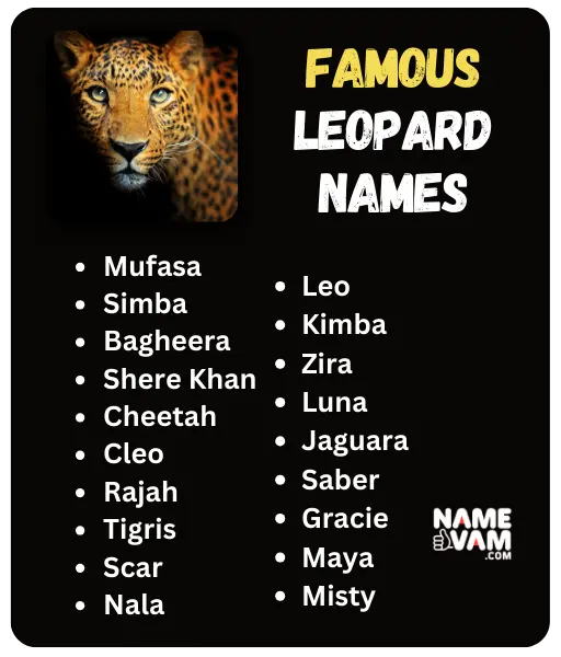 Famous Leopard Names