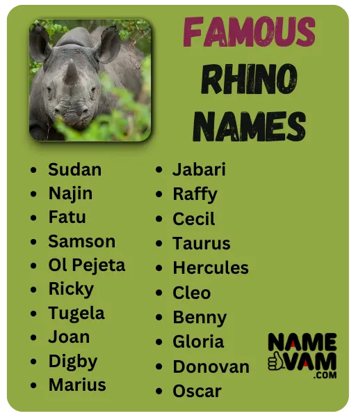 Famous Rhino Names