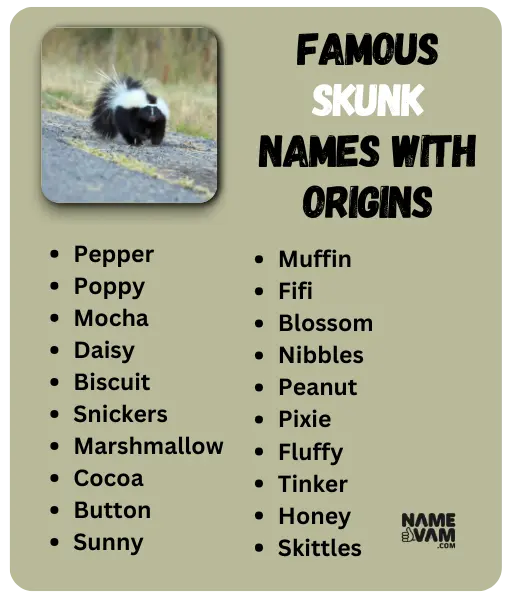 Famous Skunk Names with Origins