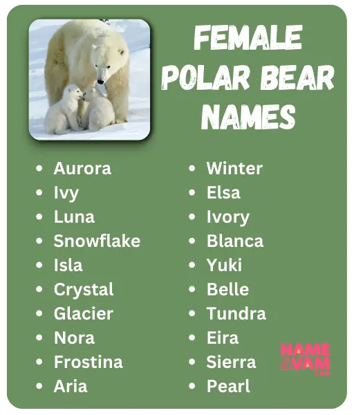 Female Polar Bear Names