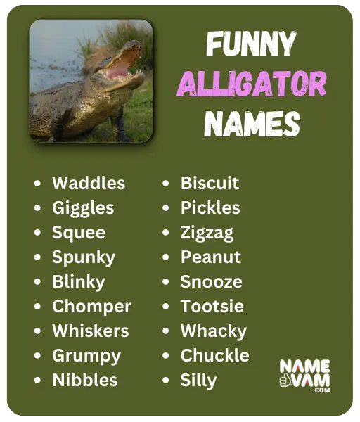 Funny Alligator Names