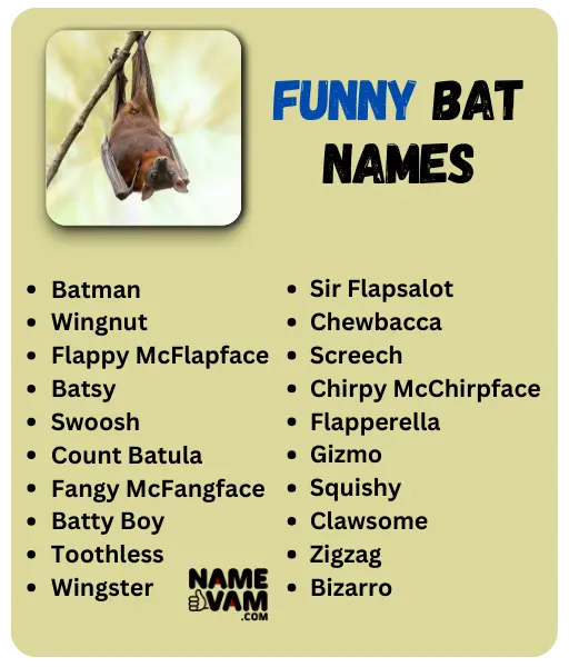 Funny Bat Names