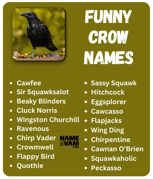 Funny Crow Names