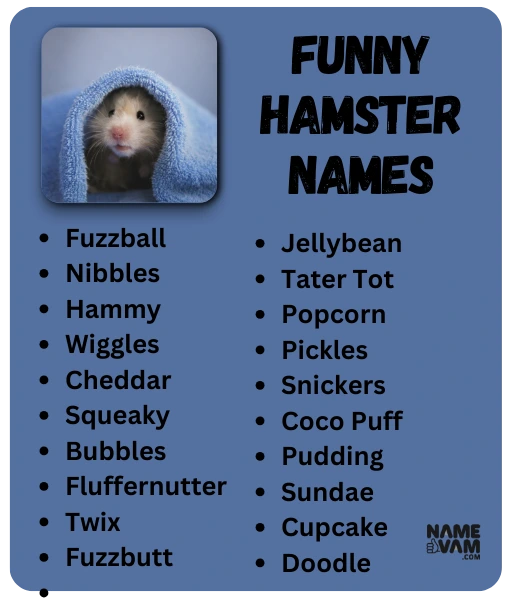 Funny Hamster Names