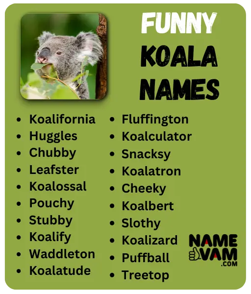 Funny Koala Names