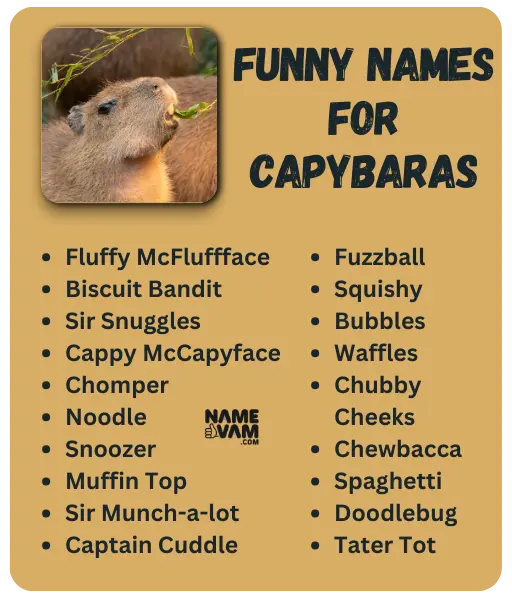 Funny Names for Capybaras