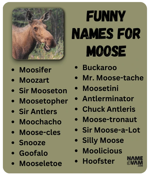 Funny Names for Moose