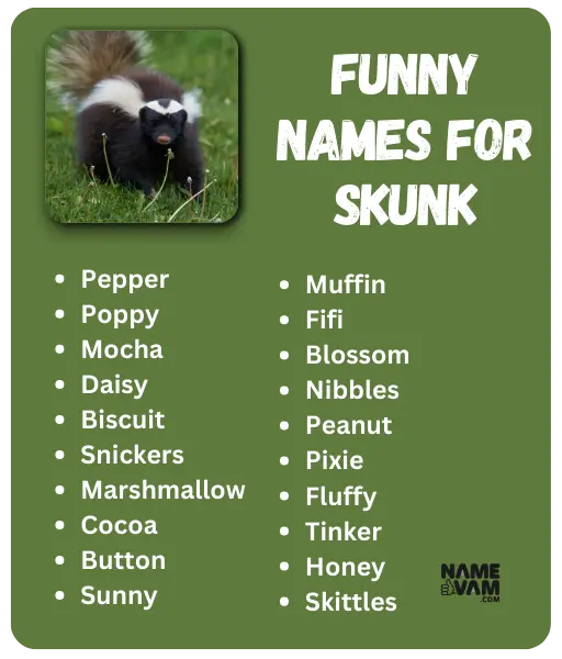 funny names for skunk