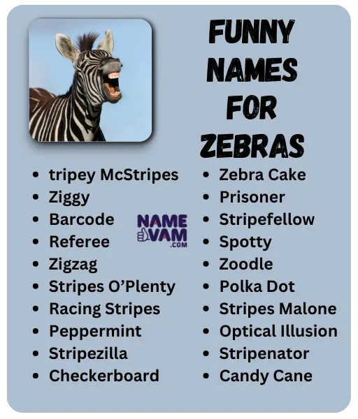 Funny Names for Zebras