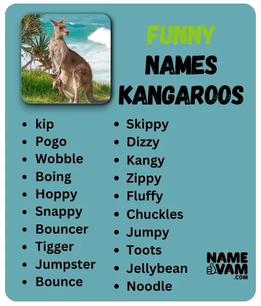 Funny Rhino Names