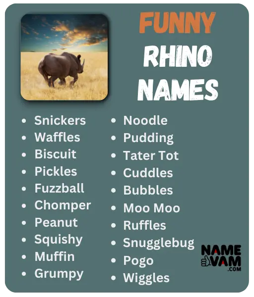 Funny Rhino Names