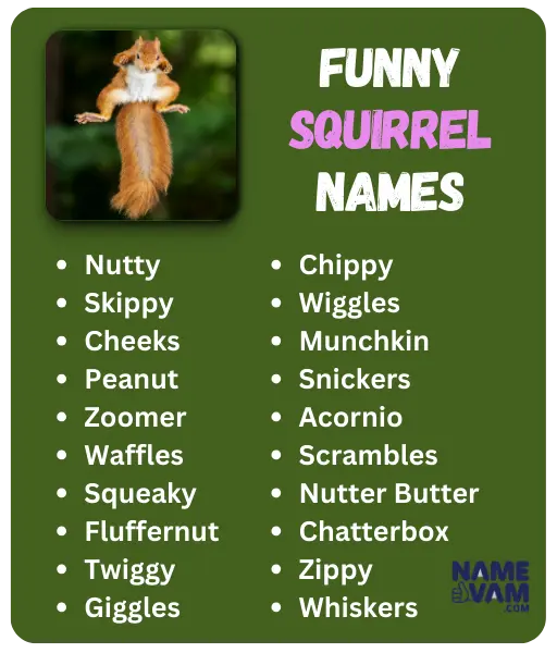 Funny Squirrel Names