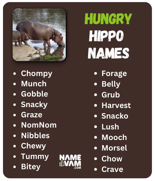 Hungry Hippo Names