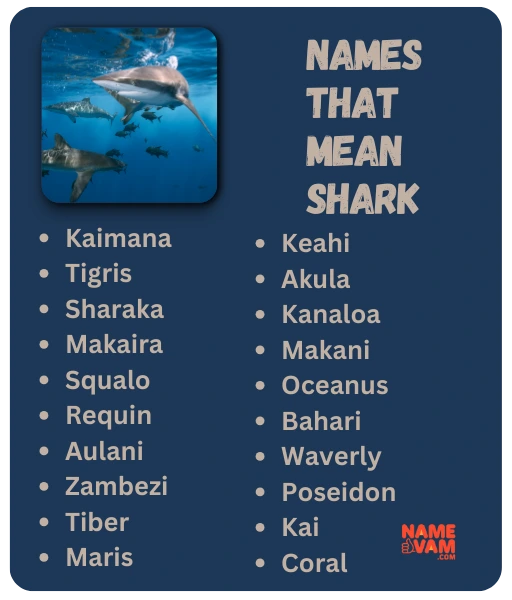 Names that Mean Shark