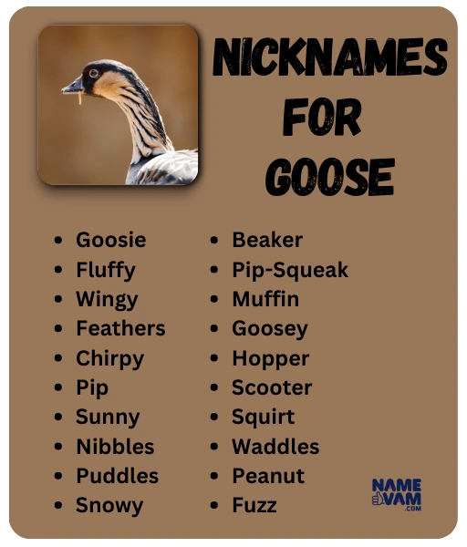 nicknames for goose