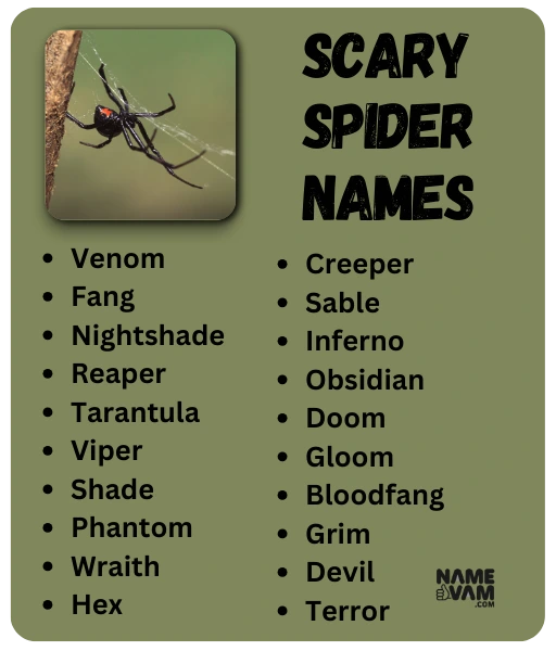 Scary Spider Names