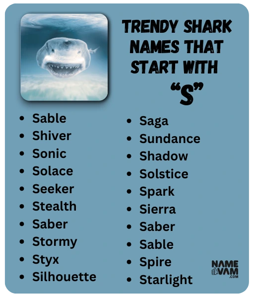 Trendy Shark Names that Start with “S”